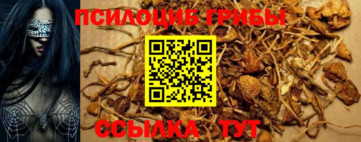 Псилоцибиновые грибы MAGIC MUSHROOMS Шахты